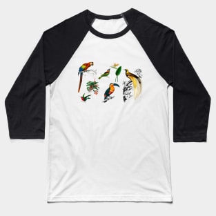 exotic birds Baseball T-Shirt